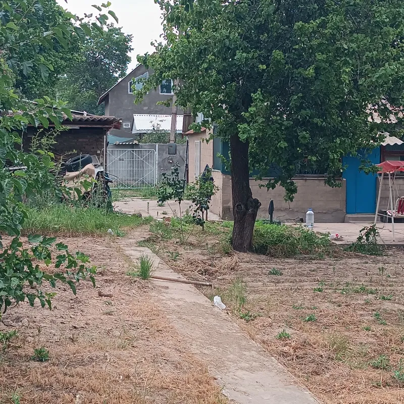 Уютная дача недалеко от Ташкента — фото 4