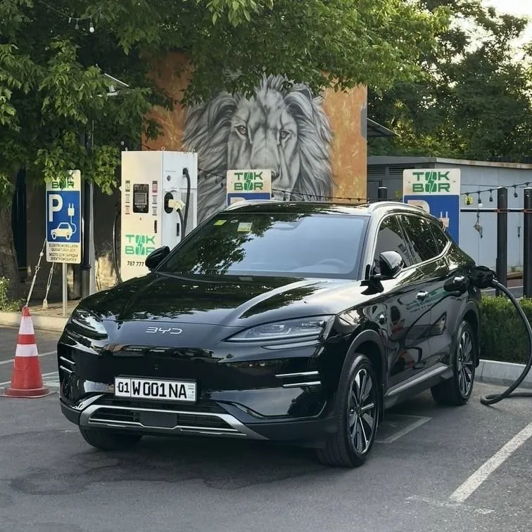 BYD chempion smart full komlektatsiya