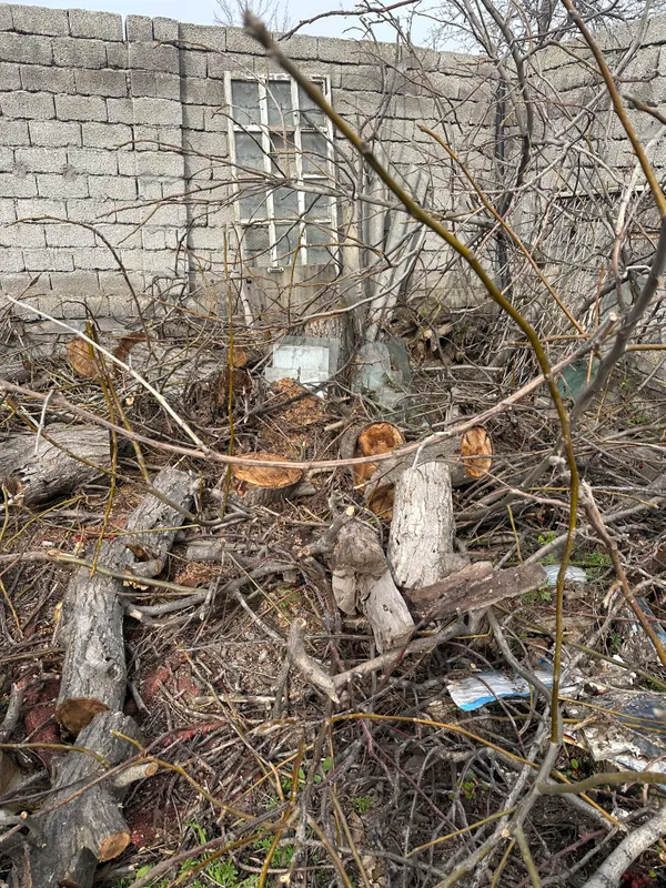 Продам дрова — фото 1
