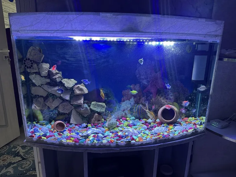Akvarium sotiladi Akvarium sotiladi