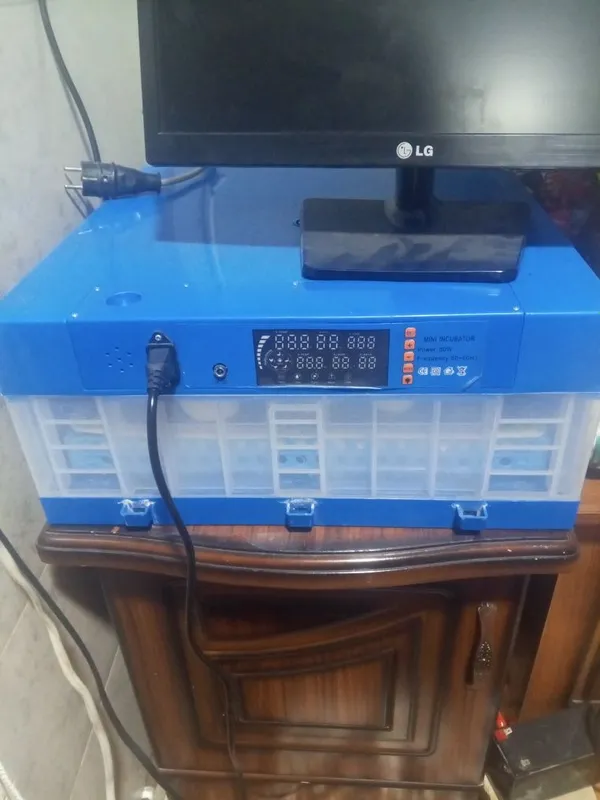 Inkubator 3 qatorli ishonchli Inkubator 3 qatorli ishonchli