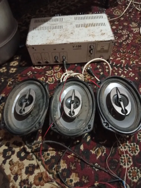kalonka kansert toy tadbirlar uchun