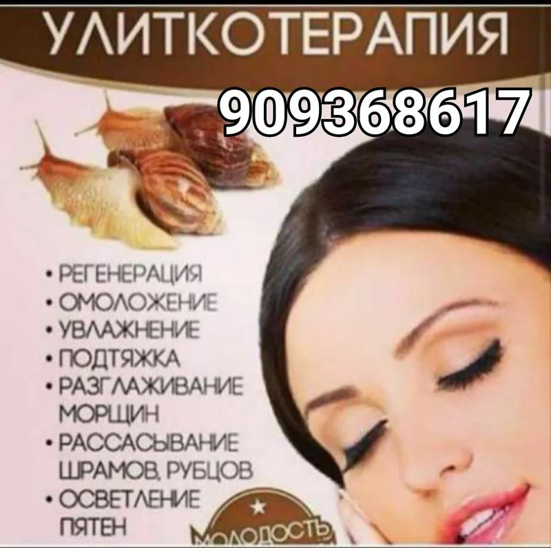Улитки радация стандарт 7-8см делают кладки — фото 3