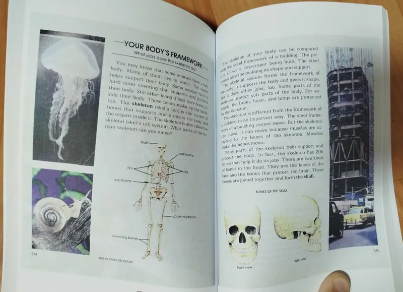 Доставка. Read and Understand 1,2,3,4 — фото 3