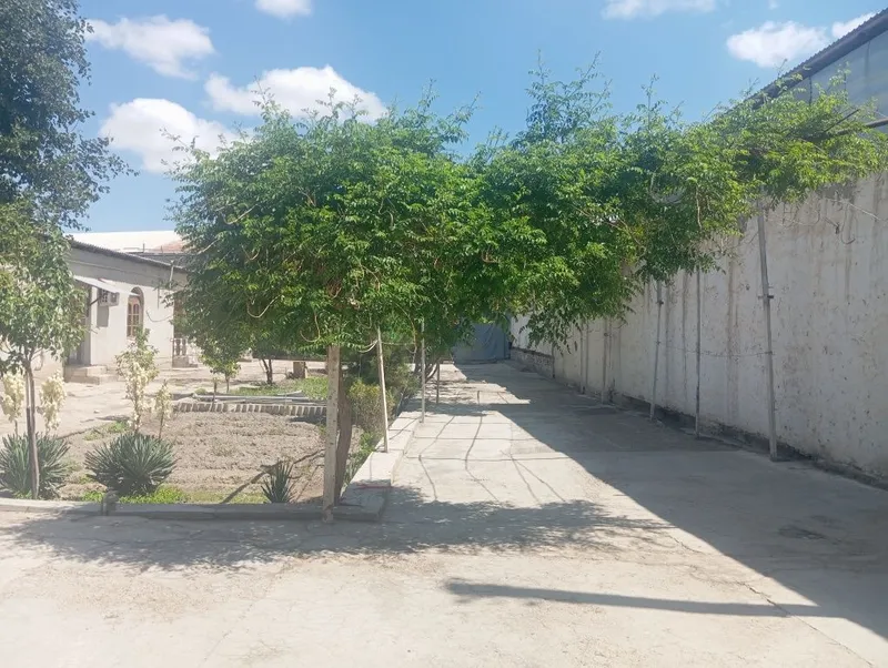 Uchastka sotiladi 14 sutiq ARENTR:KALXOZ BAZAR 8 Uchastka sotiladi 14 sutiq ARENTR:KALXOZ BAZAR 8