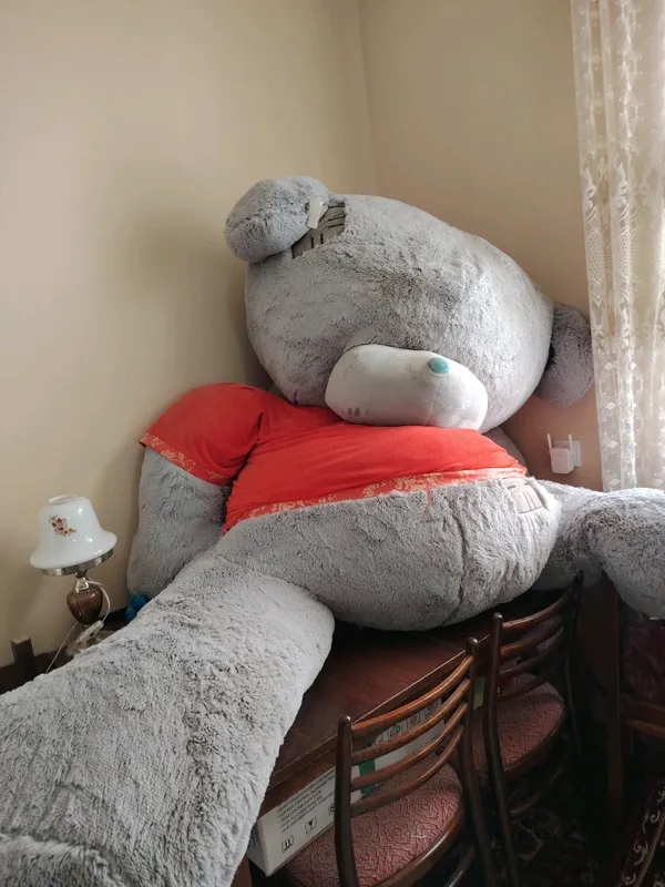 Teddy  kattasi 2 000 000 sum