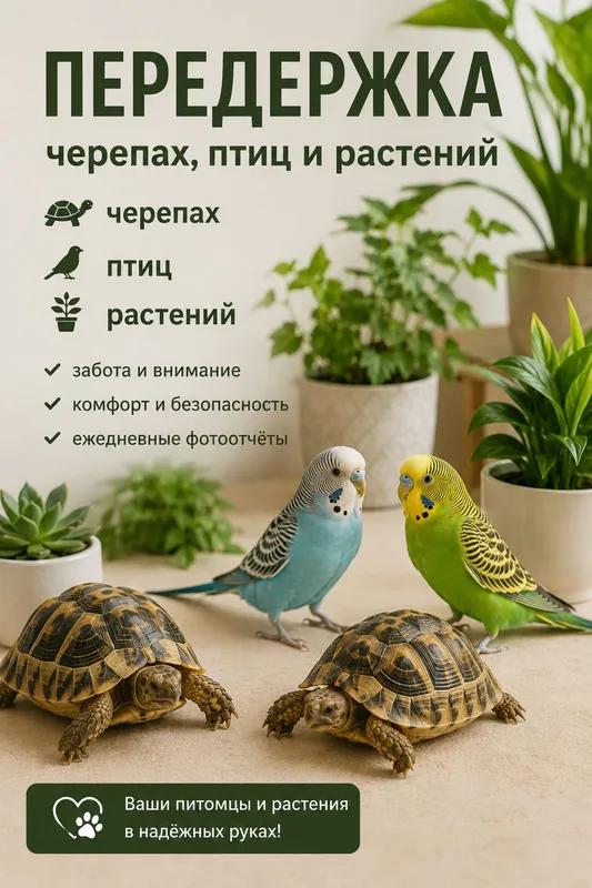 Передержка черепах, птиц, растений.