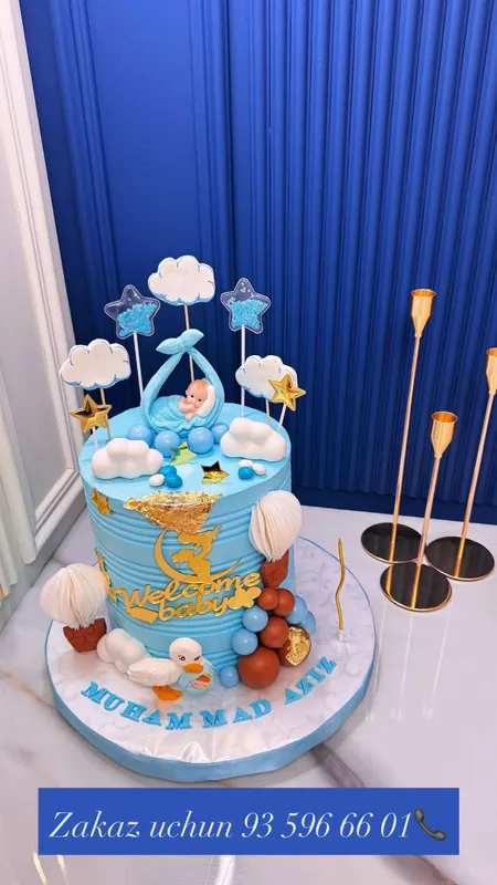 Shahnoza___cake dan tort