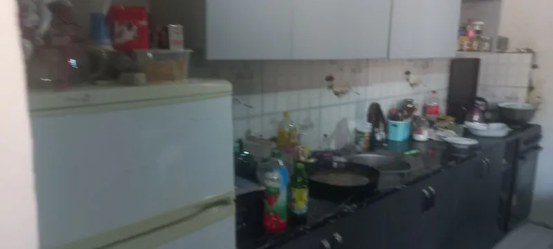 Тайер уй кадастр бор