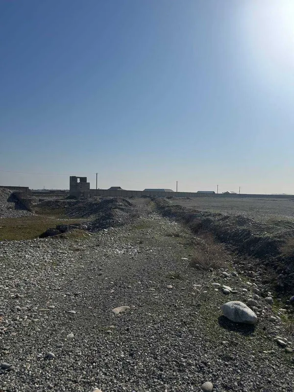Паррандачилик билан шуғулланиш учун — фото 2