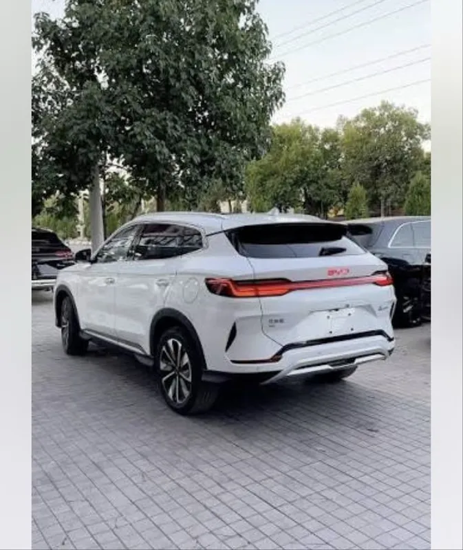BYD chapion Arenda