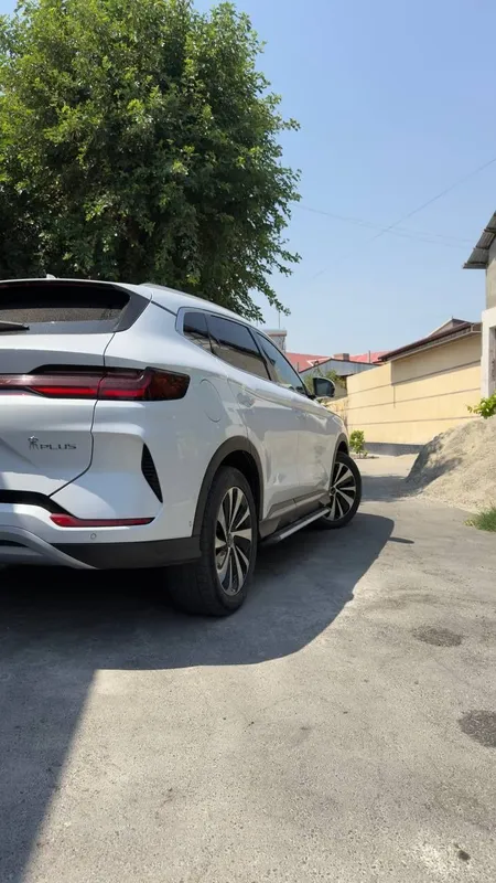 Byd chempion srochno! 5 Byd chempion srochno! 5