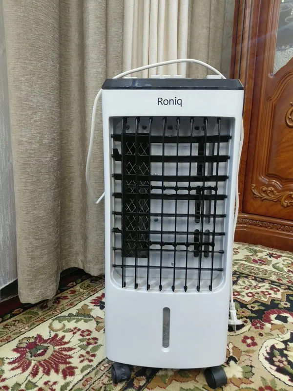 Roniq-havo sovituvchi 1