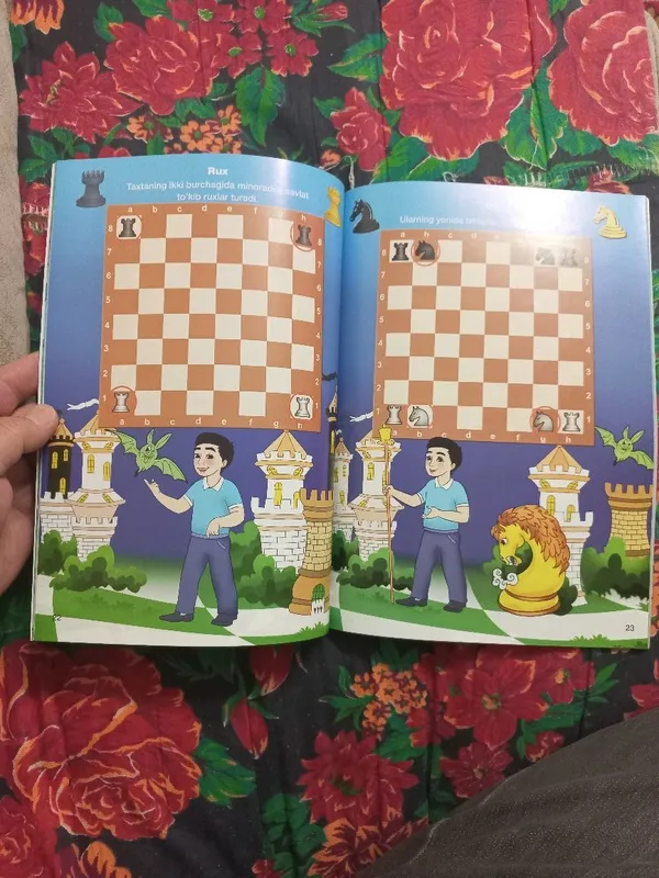 Книга для начинающих играть в шахматы — фото 2