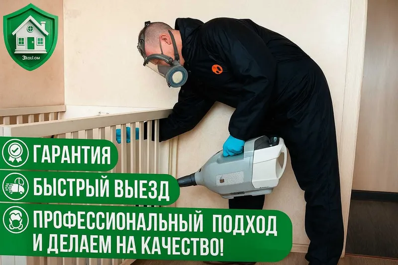 Дезинфекция от клопов тараканов крыс мышей скорпионов ос мух блох — фото 1