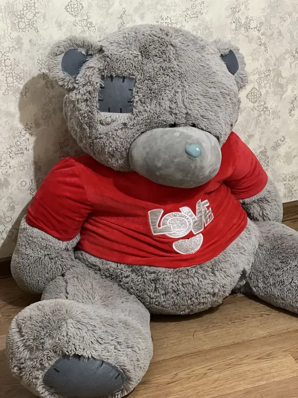 Teddy kotta yangiday 2