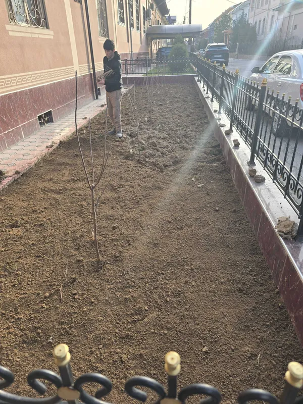 Tayyor gazon gazon urug' poliv ustanovka — фото 4