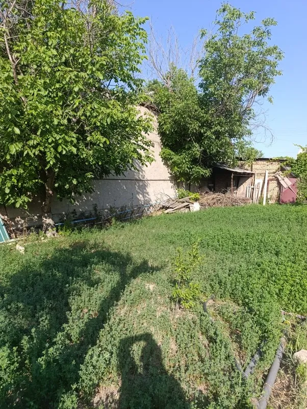 Дача янги Узбекистон — фото 2