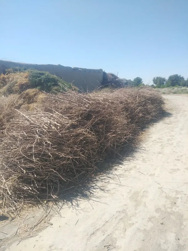 ByMaydalangan akuratni