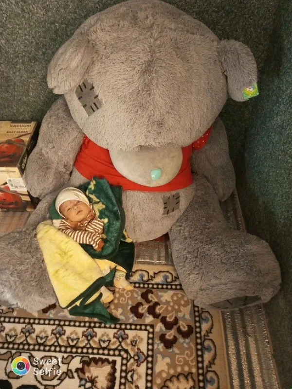 Teddy ayiq yomshoq oʻyinchoq