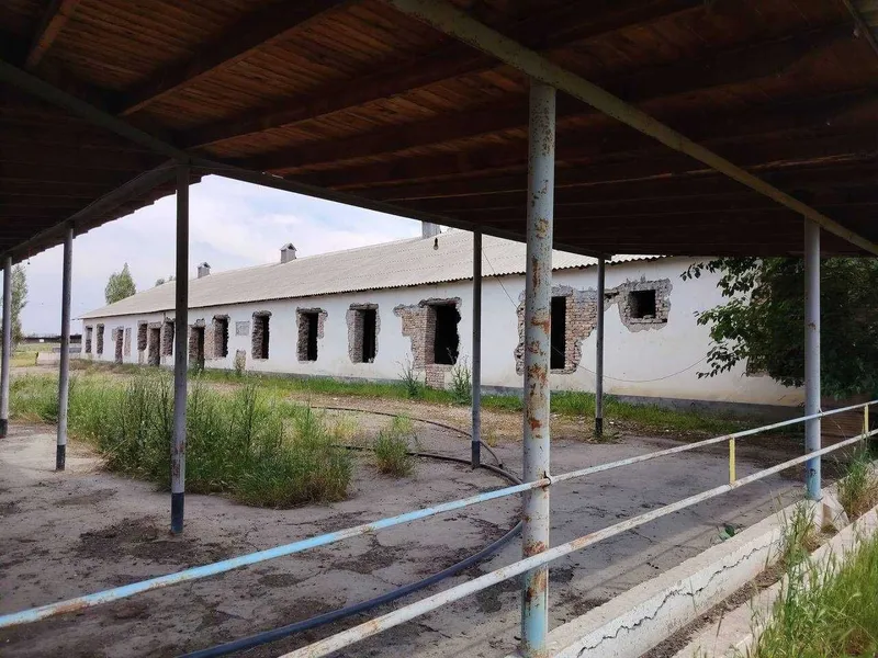 Продаётся фермерское хозяйство — фото 8