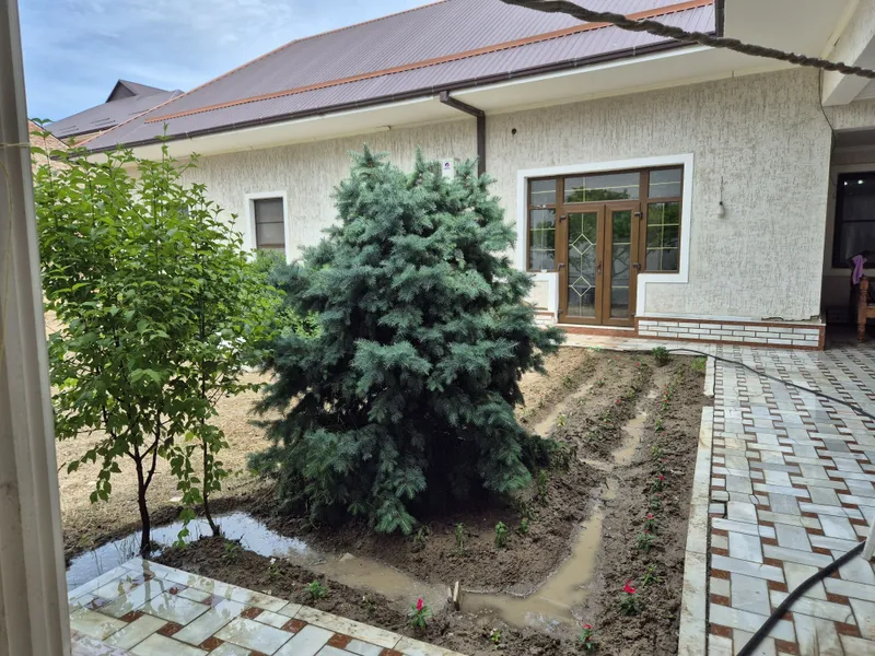 Дом в аренду садвинсовхоз