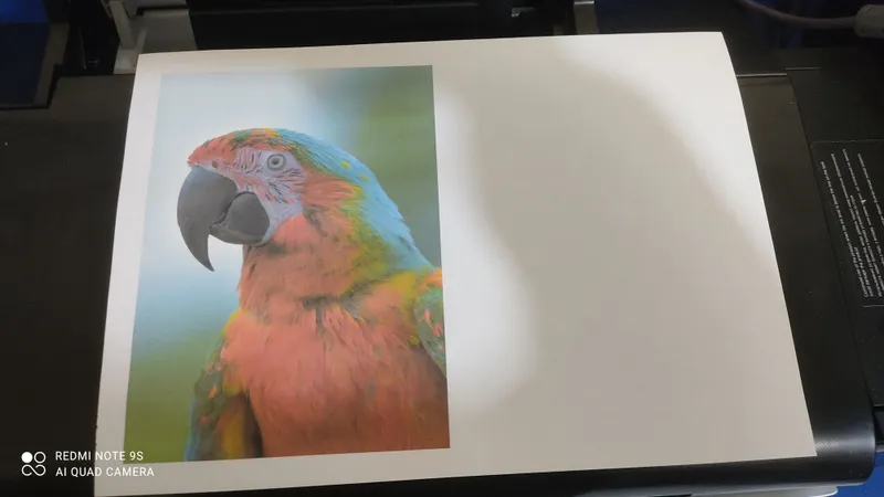 printer epson l805 2