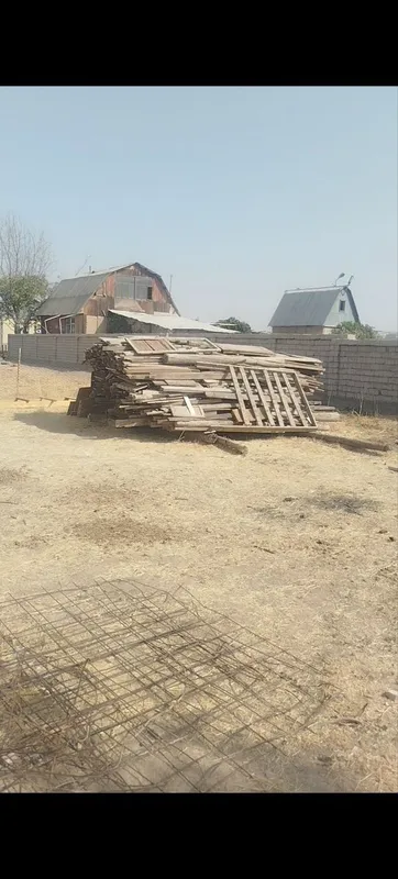 Tosin otinlari bor