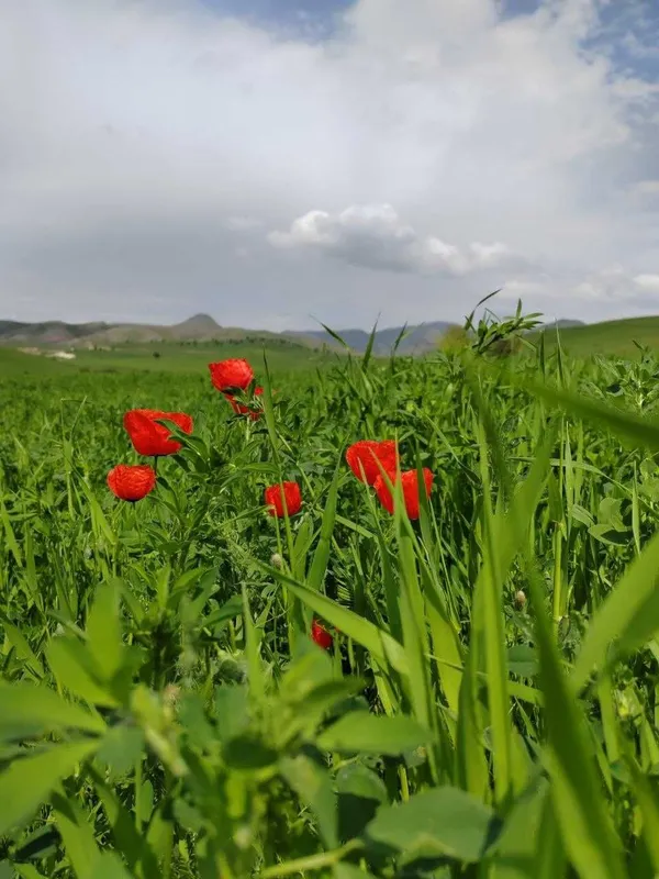 Поездки в горы и на природу 8 Поездки в горы и на природу 8
