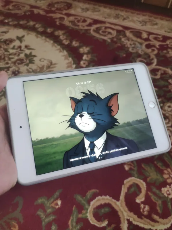 Ipad Mini 5 64 2