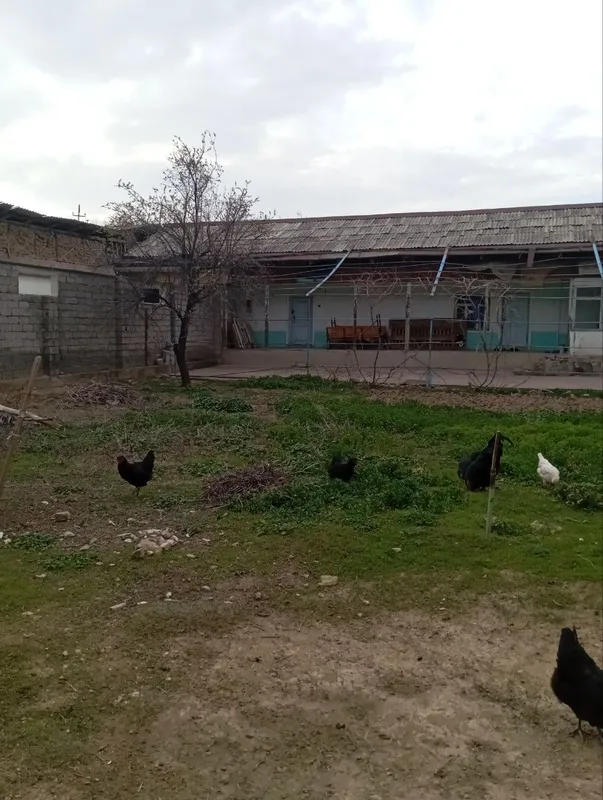 Продажа участка 3
