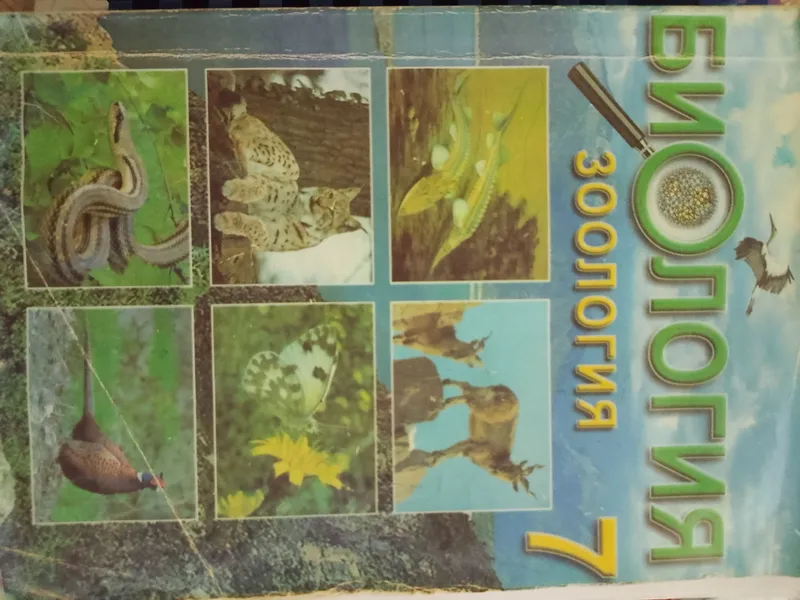 Biologiya bo‘yicha kitoblar 1 Biologiya bo‘yicha kitoblar 1