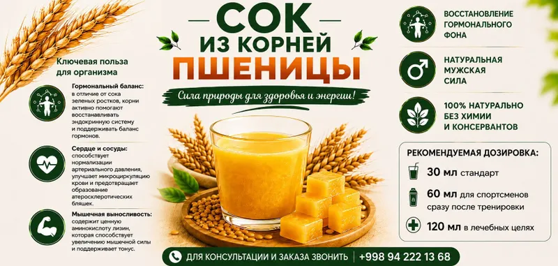 Wheatgrass vitgrassi 3 Wheatgrass vitgrassi 3