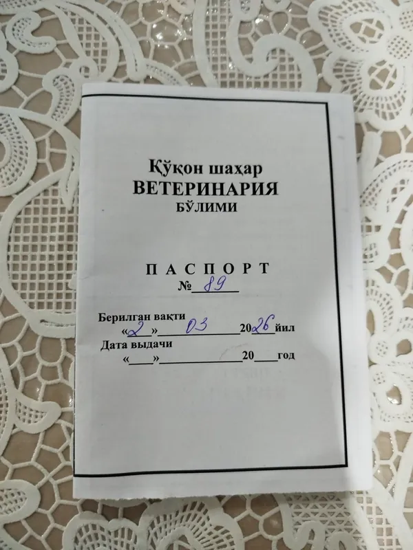 Mushukcha aqlli , ovqatga oʻrgangan, emlangan, pasaporti bor , — фото 7