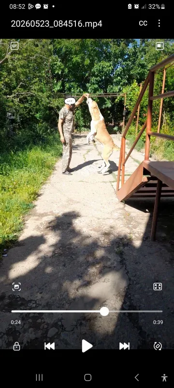 Ер сотилади 4 сотох 1 Ер сотилади 4 сотох 1