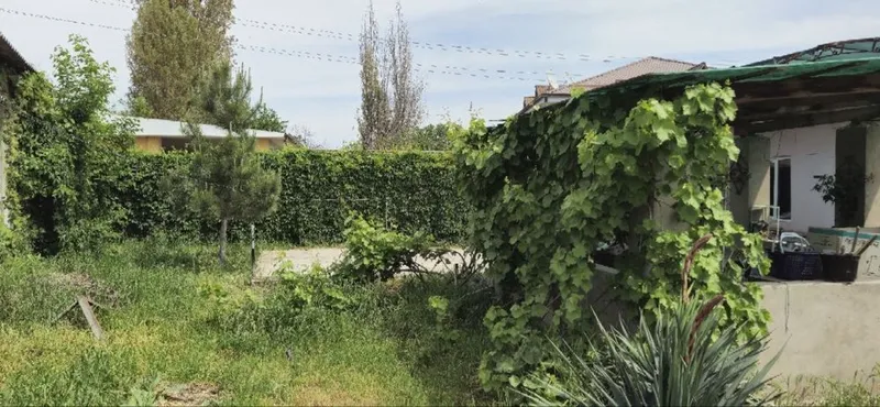 Продается Дача в Куйчирчикском районе — фото 1