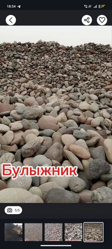 Клинец шебен песок белуга пойма — фото 4