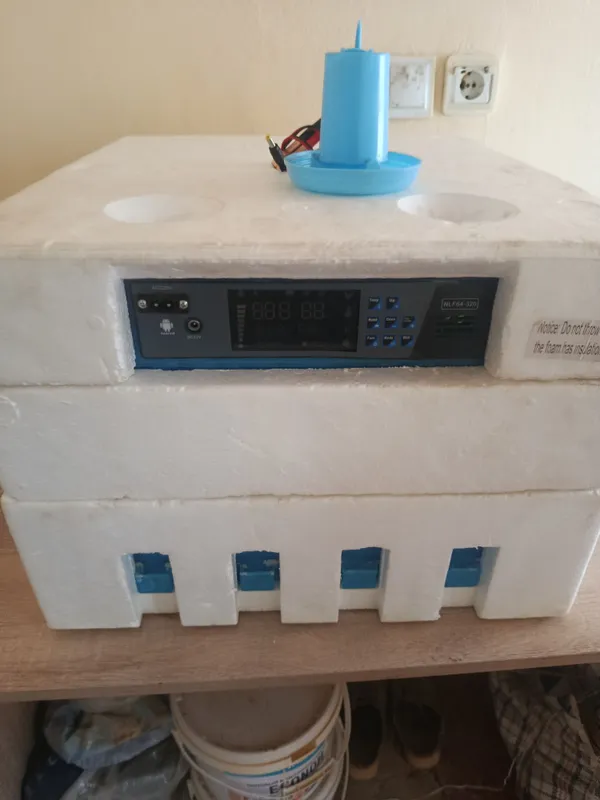 enkubator sptiladi bahosi kelishilgan narxda