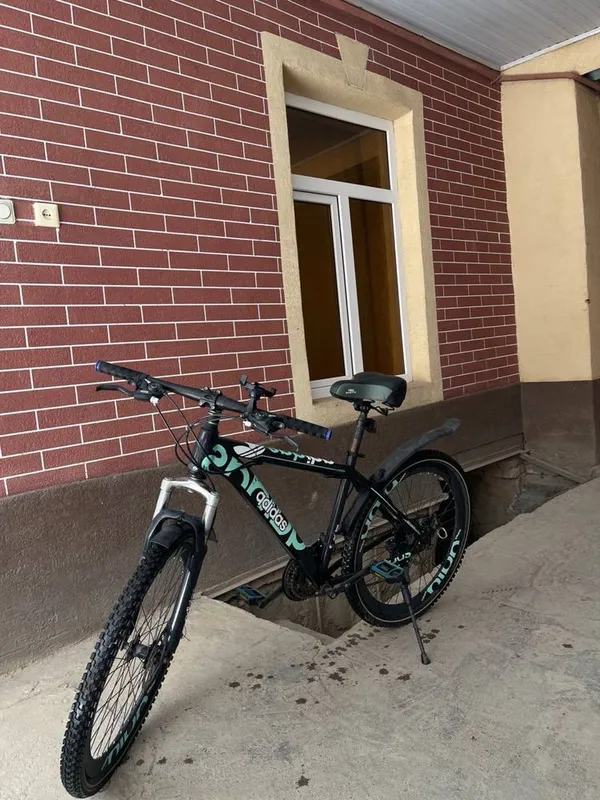 Velik 26 holati zor 2 ta yaxshi bilan qora — фото 1