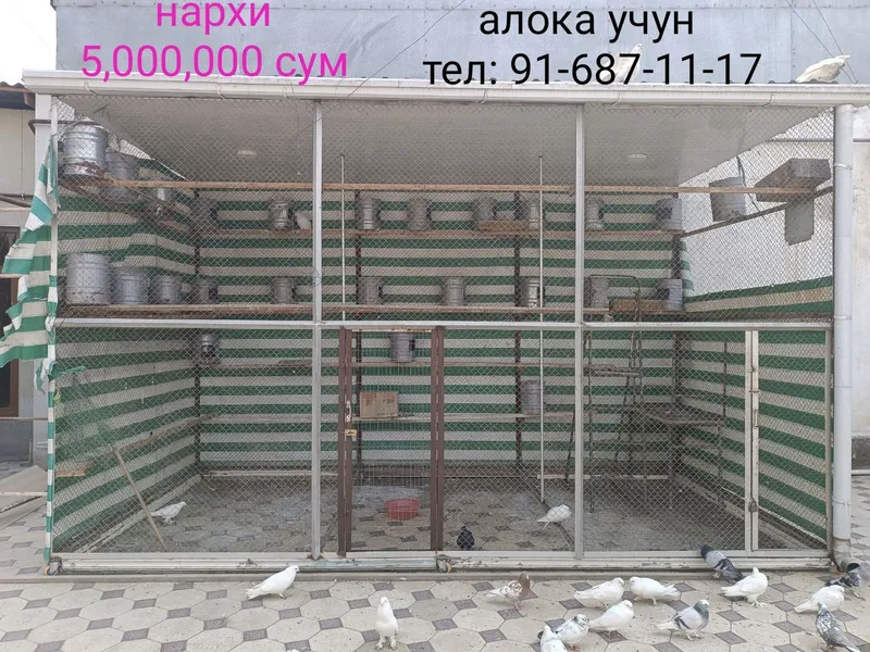 Кафас Кабутар ва парранда бокиш учун мулжалланган