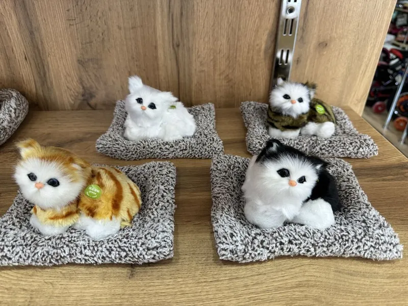 Котики для автомобиля 5