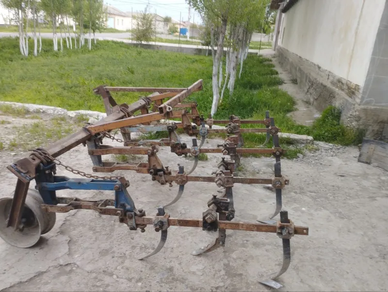 Kultuvatsa sotiladi