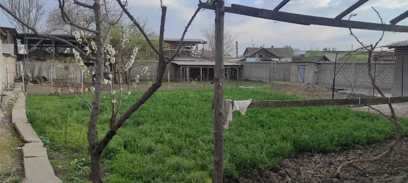 Уй сотилади, Достобод шахрида — фото 5