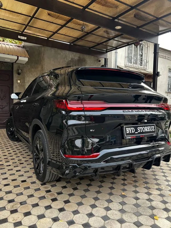 Обвес (бодикит) для BYD Champion (2023–2025) — фото 3