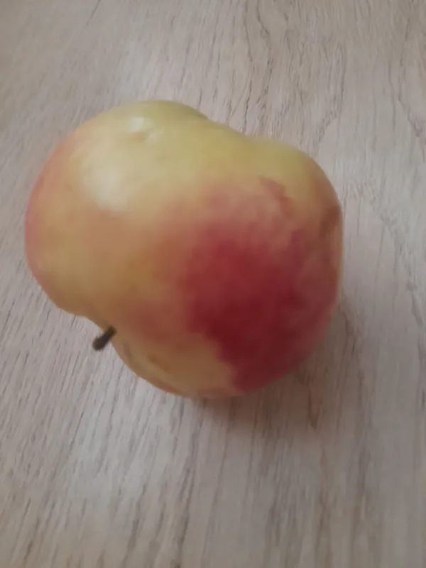 olma