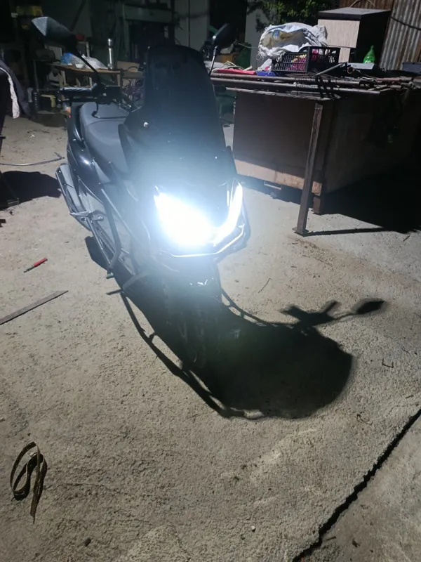 Moped tigir 2026 1