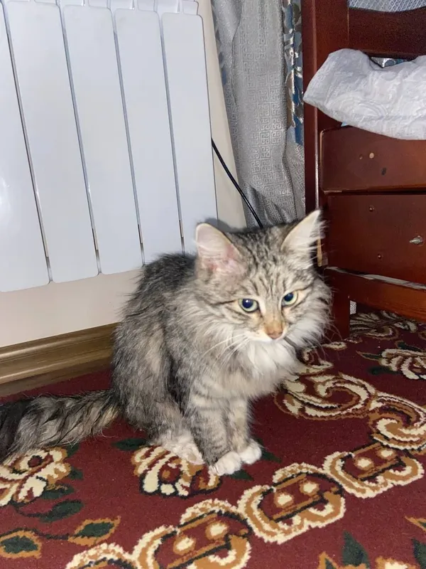 Faqat Termiz shahrida 3 Faqat Termiz shahrida 3