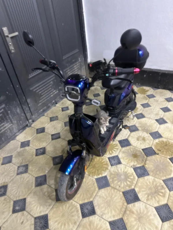 Skuter Holati yangi 3 Skuter Holati yangi 3