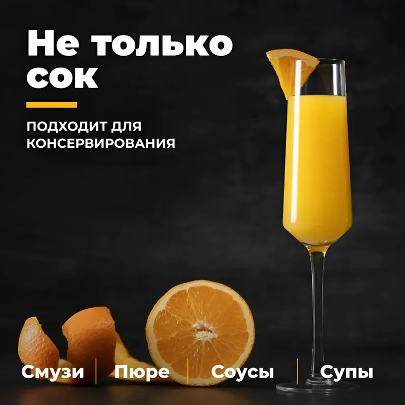 Соковыжималка LAMO LM-J618 — фото 2