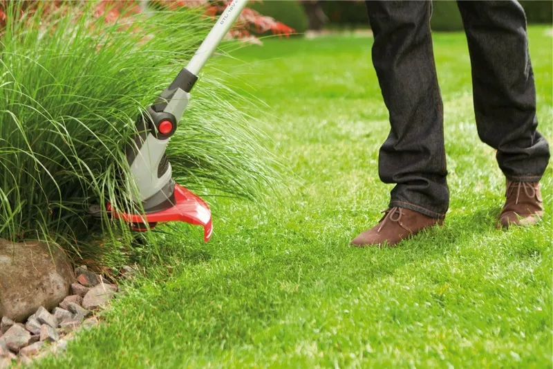 Аренда Газонокосилка Триммер Мотокоса Бензокоса прокат 24.7 доставка — фото 6